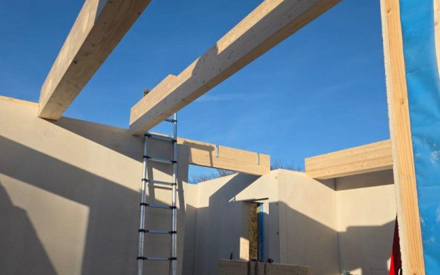 drewno na dom modułowy