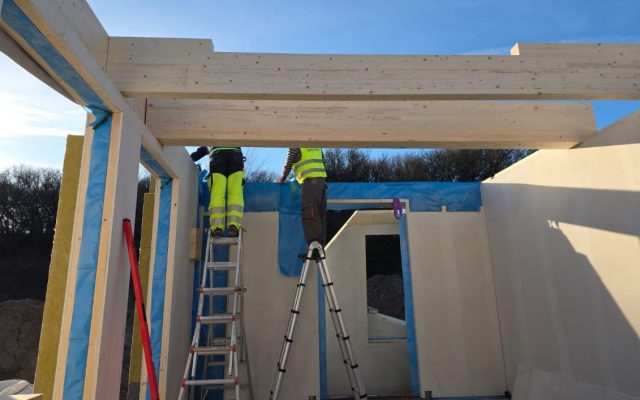 drewno na dom modułowy